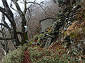 kunimi73_thumb.png