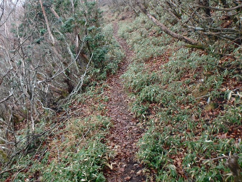 kunimi78.jpg