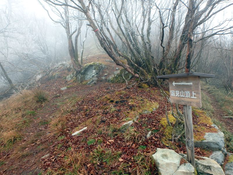 kunimi80.jpg