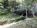 nakatu002_thumb.png