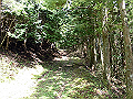 nakatu003_thumb.png