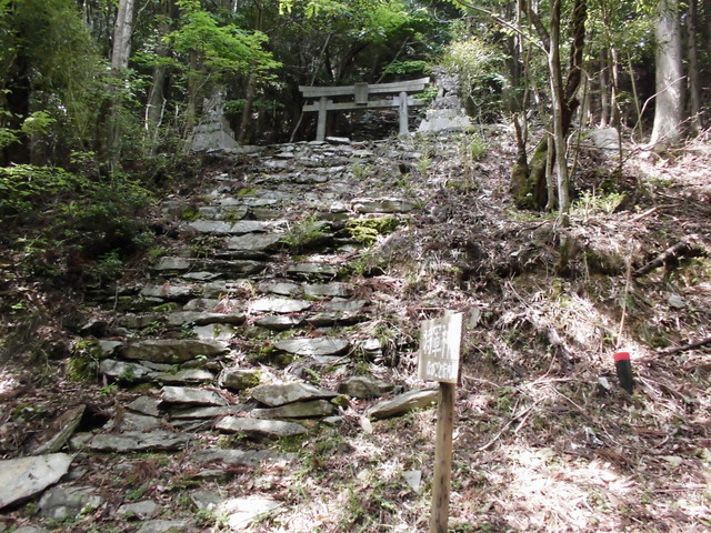 nakatu004.jpg