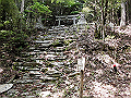nakatu004_thumb.png