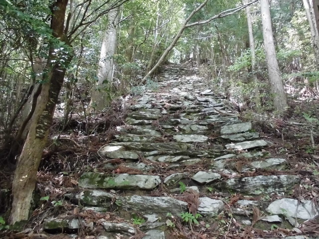 nakatu006.jpg