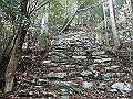 nakatu006_thumb.png
