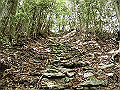 nakatu007_thumb.png
