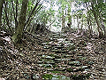 nakatu008_thumb.png
