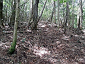 nakatu013_thumb.png