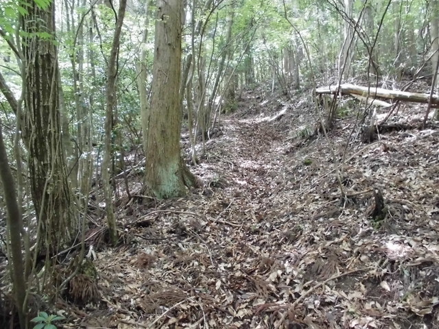 nakatu014.jpg
