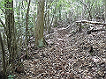 nakatu014_thumb.png