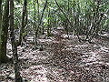 nakatu015_thumb.png