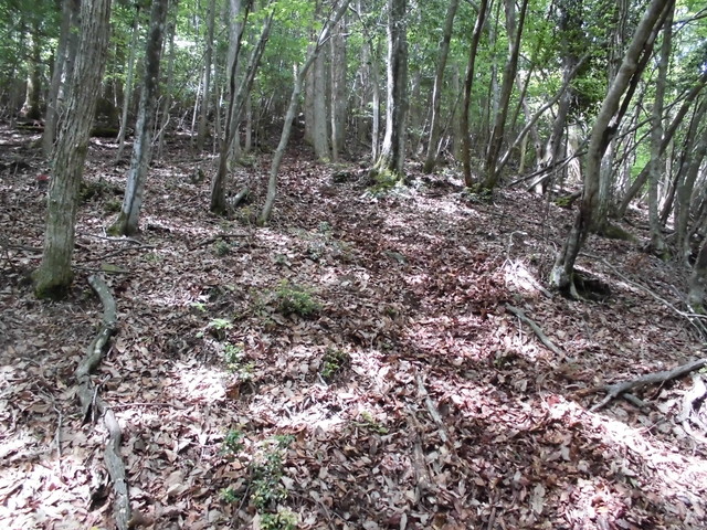nakatu016.jpg