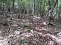 nakatu016_thumb.png