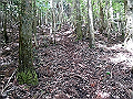 nakatu017_thumb.png