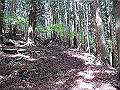 nakatu018_thumb.png