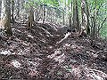 nakatu019_thumb.png