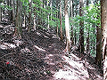 nakatu020_thumb.png