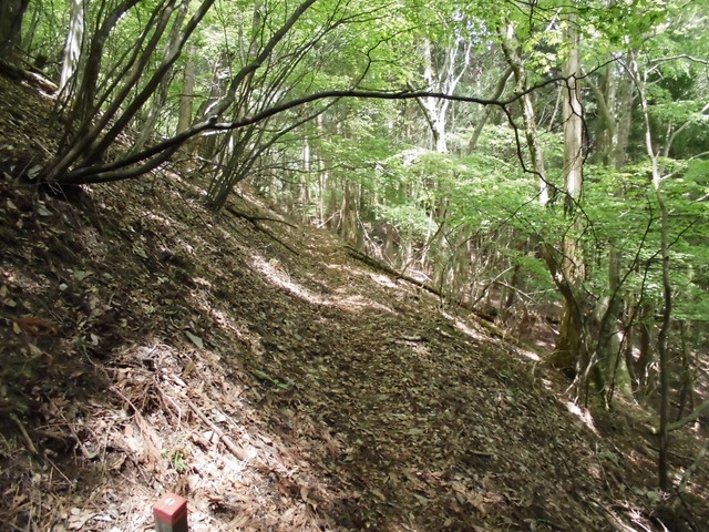 nakatu021.jpg