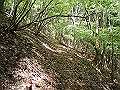 nakatu021_thumb.png