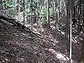 nakatu023_thumb.png