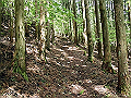 nakatu024_thumb.png