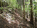nakatu025_thumb.png