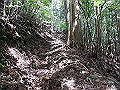 nakatu026_thumb.png