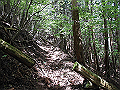 nakatu027_thumb.png