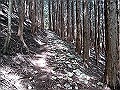 nakatu028_thumb.png