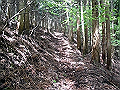 nakatu030_thumb.png