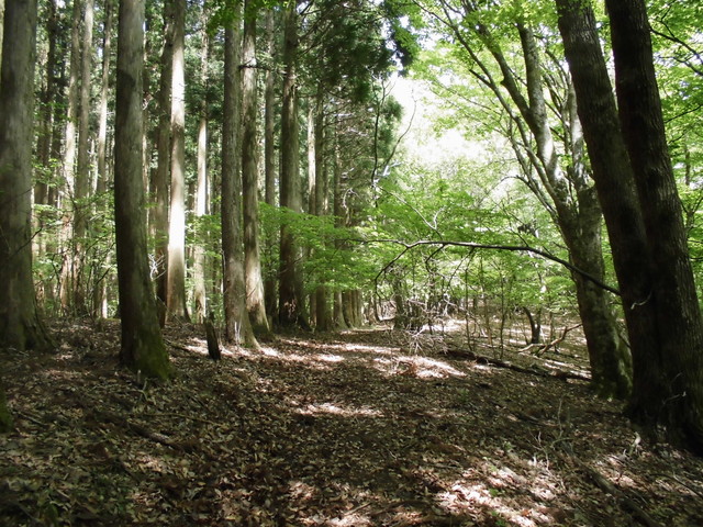 nakatu032.jpg