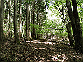 nakatu032_thumb.png