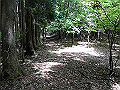 nakatu033_thumb.png