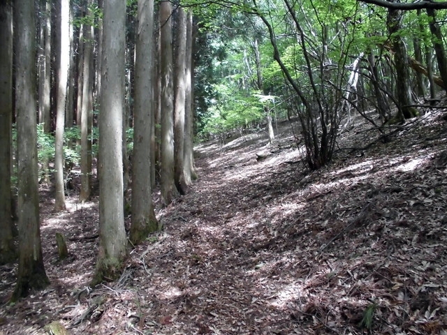 nakatu034.jpg