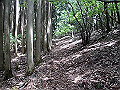 nakatu034_thumb.png
