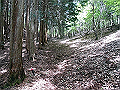 nakatu035_thumb.png