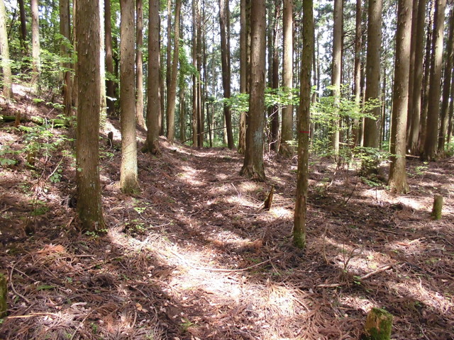 nakatu036.jpg