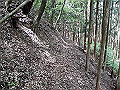 nakatu037_thumb.png