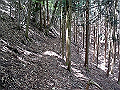 nakatu038_thumb.png