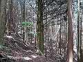 nakatu040_thumb.png