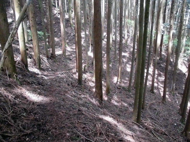 nakatu041.jpg