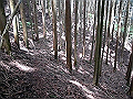 nakatu041_thumb.png