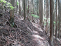 nakatu042_thumb.png
