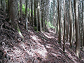 nakatu043_thumb.png