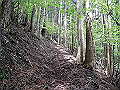 nakatu044_thumb.png