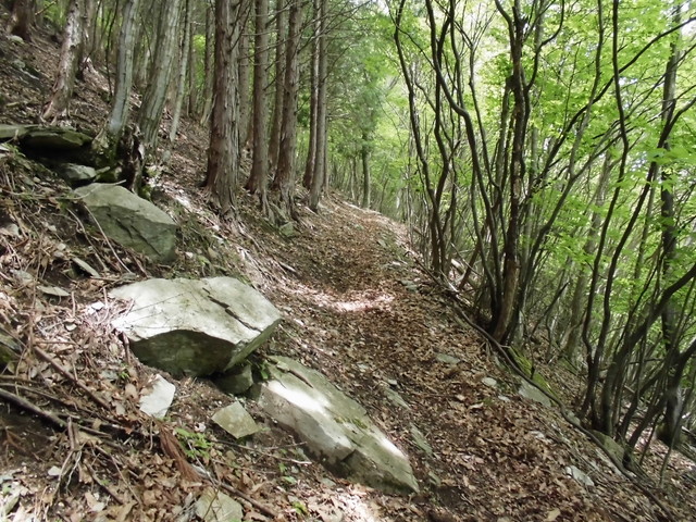 nakatu045.jpg