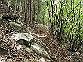 nakatu045_thumb.png