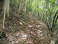 nakatu046_thumb.png