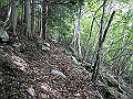 nakatu047_thumb.png