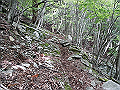 nakatu048_thumb.png